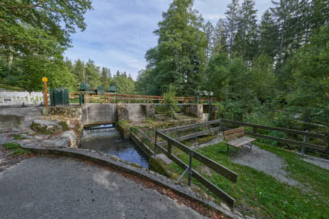 Gemeinde Waldkirchen Landkreis Freyung-Grafenau Saußbachklamm (Dirschl Johann) Deutschland FRG